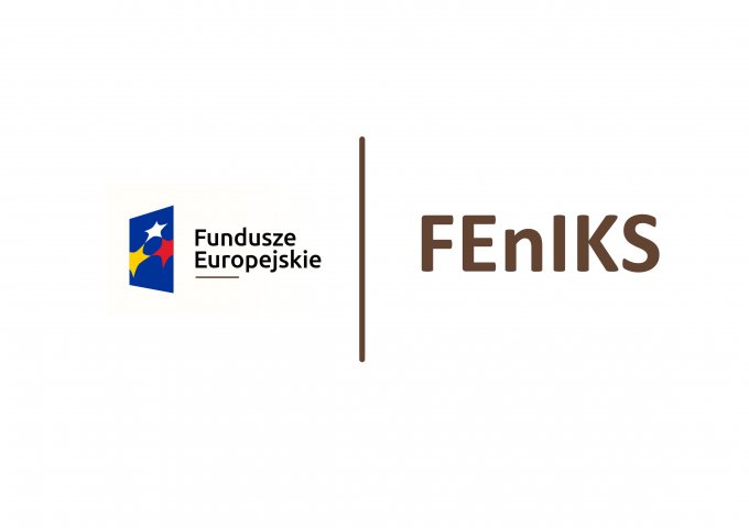 Logo FEnIKS