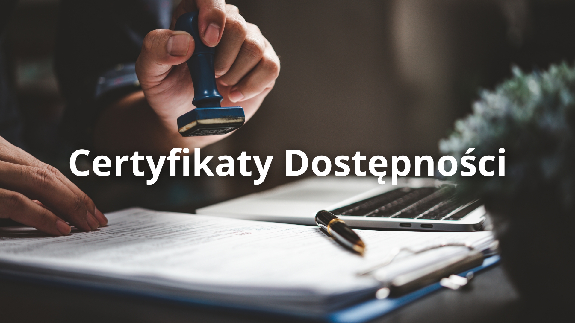 Certyfikaty dostępności